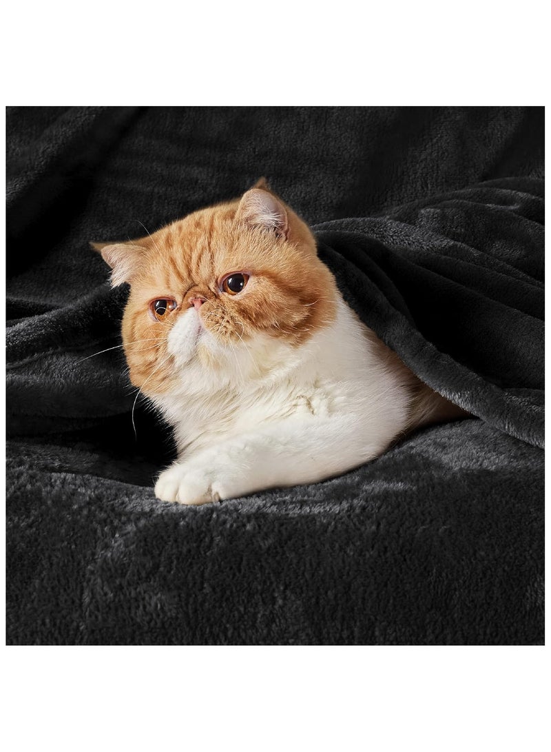 فابينني بطانية سرير ناعمة كالحرير، مصنوعة من الألياف الدقيقة، مقاس 150×200 سم، لون أسود، وزن 280 جرام/م2 - Image 5