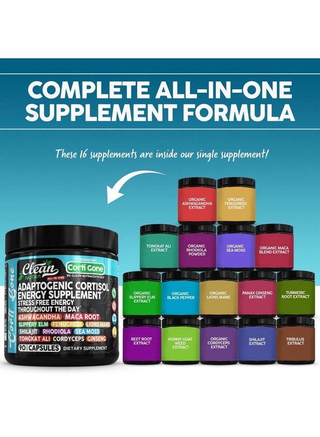 Clean Nutraceuticals مكملات كورتيسون للنساء | جذور الماكا أشواغاندا مدبر خفض الكورتيزول + زلق البلوط الحلبة ليوغو شيلجيت روديولا طحالب البحر تونكات علي كورديسيبس الجينسنغ جذر الشمندر - Image 2