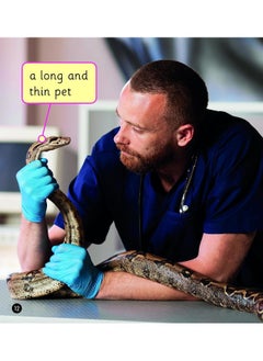 The Job of a Vet (Set 4) Matched to Little Wandle Letters and Sounds Revised  - Image 5
