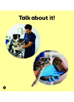 The Job of a Vet (Set 4) Matched to Little Wandle Letters and Sounds Revised  - Image 4
