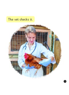 The Job of a Vet (Set 4) Matched to Little Wandle Letters and Sounds Revised  - Image 1