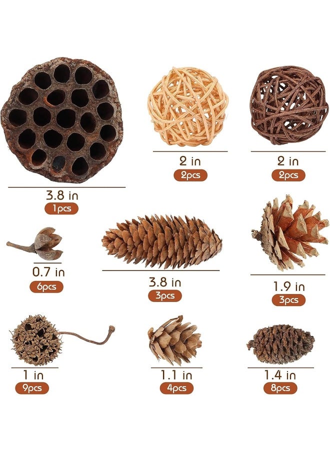 DomeStar - DomeStar 38PCS Pine Cone Set, Artificial Acorns Berry Craft and Natural Pinecones Ornament Pine Picks Fake Fruit Decor Fall Decorating Kit - Image 1