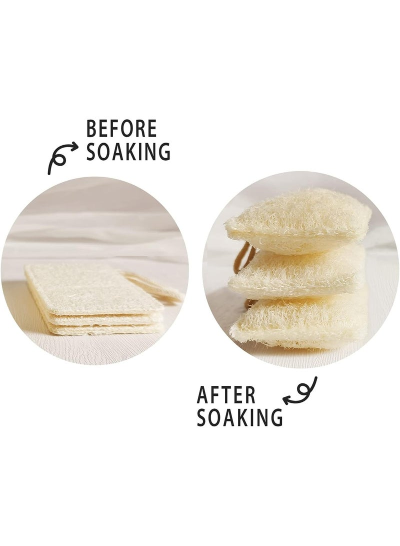 Oasisgalore 6Pack Natural Loofah Dish Sponges - Non-Scratch, Eco-Friendly & Biodegradable  - Image 2