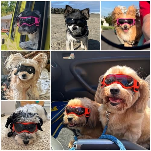 PETLESO Small Breed Dog Goggles, Pink Sunglasses with UV Protection and Adjustable Straps - Image 5