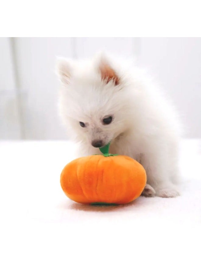 Petsary - Plush Pumpkin Toy - Image 1