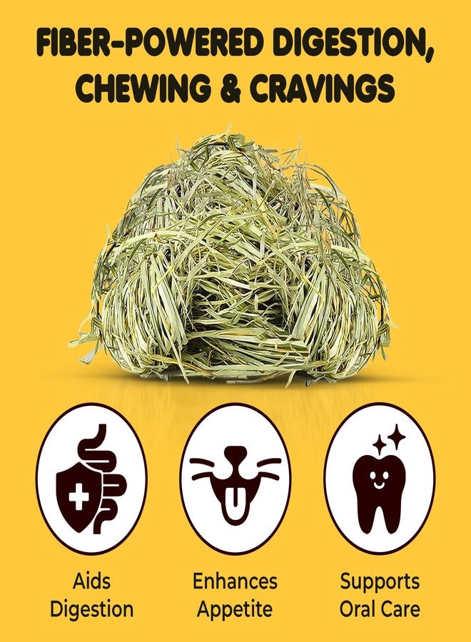 SunGrow Timothy Food, Ideal for Rabbits, Guinea Pigs, and Chinchillas, High-Fiber Hay for Digestion & Oral Care, Tasty Complement to Pets' Daily Meals, Vacuum-Sealed, Greenish Brown Grass, 3.5 oz - Image 3