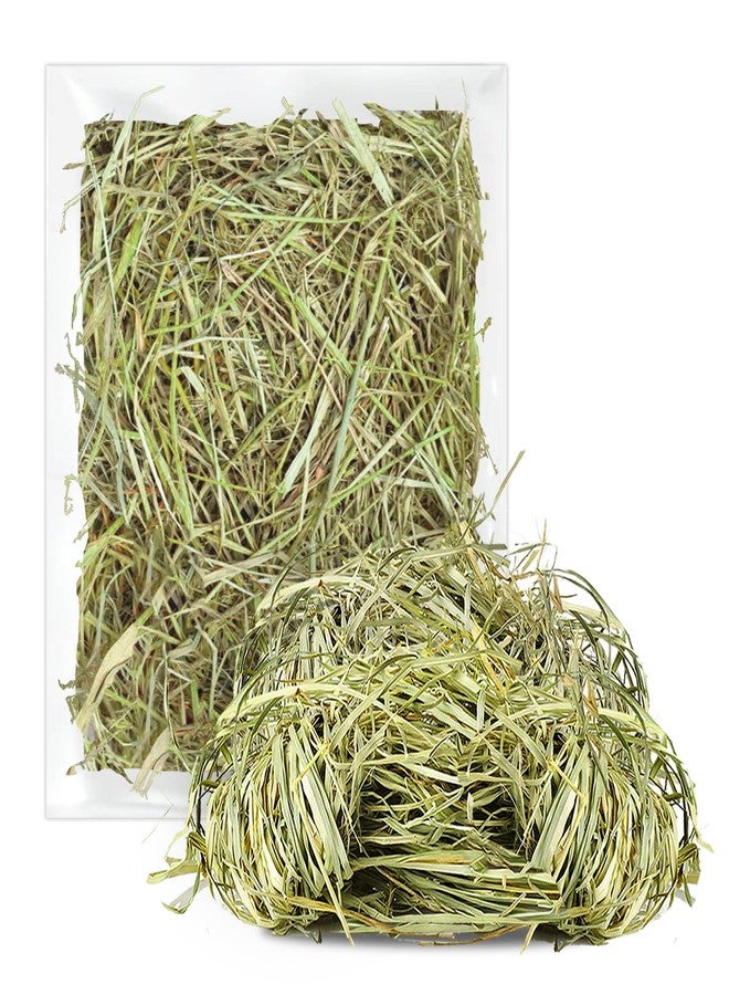 SunGrow Timothy Food, Ideal for Rabbits, Guinea Pigs, and Chinchillas, High-Fiber Hay for Digestion & Oral Care, Tasty Complement to Pets' Daily Meals, Vacuum-Sealed, Greenish Brown Grass, 3.5 oz - Image 2
