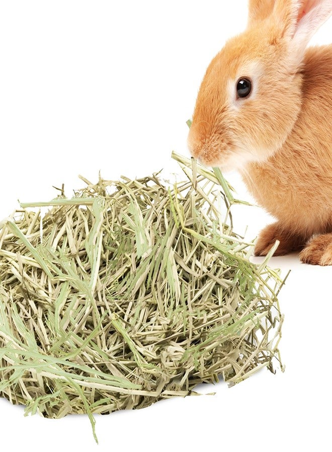 SunGrow Timothy Food, Ideal for Rabbits, Guinea Pigs, and Chinchillas, High-Fiber Hay for Digestion & Oral Care, Tasty Complement to Pets' Daily Meals, Vacuum-Sealed, Greenish Brown Grass, 3.5 oz - Image 1