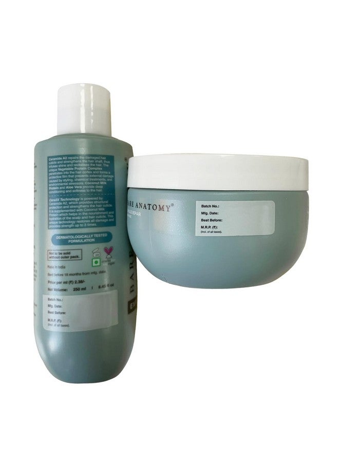 بار_اناتومي شامبو إصلاح الشعر التالف + مجموعة قناع الشعر يعمل على إصلاح الشعر التالف والضعيف والجاف ويمنع تساقط الشعر، يحتوي على بروتين حليب جوز الهند وخالي من الكبريتات والبارابين للنساء والرجال 250 مل + 250 جم - Image 5
