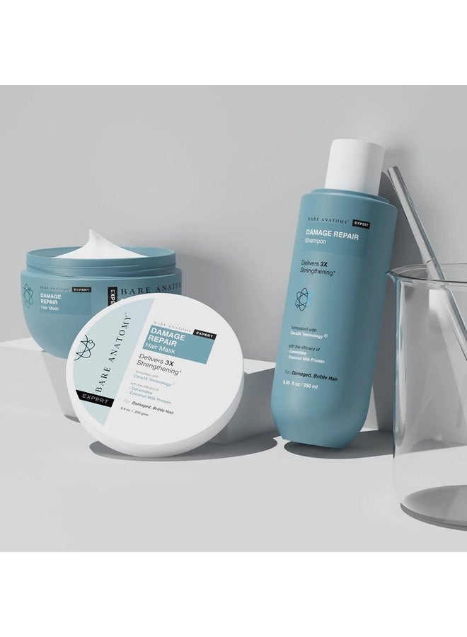 بار_اناتومي شامبو إصلاح الشعر التالف + مجموعة قناع الشعر يعمل على إصلاح الشعر التالف والضعيف والجاف ويمنع تساقط الشعر، يحتوي على بروتين حليب جوز الهند وخالي من الكبريتات والبارابين للنساء والرجال 250 مل + 250 جم - Image 2