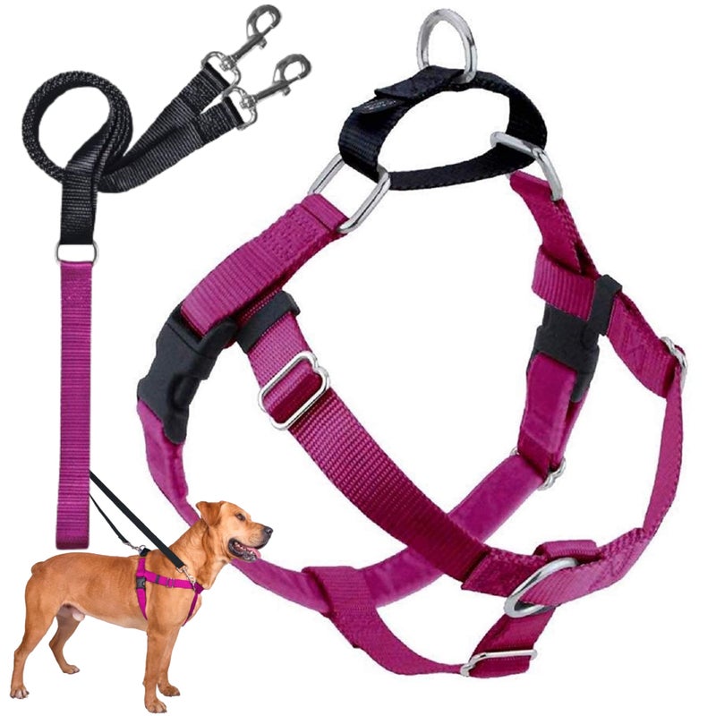 2 Hounds Design Freedom No Pull Dog Harness Adjustable Harness and Leash Set Easy Walking Comfortable Control Fits Small Medium Large Dogs Solid Colors Made in USA 1 MD Raspberry