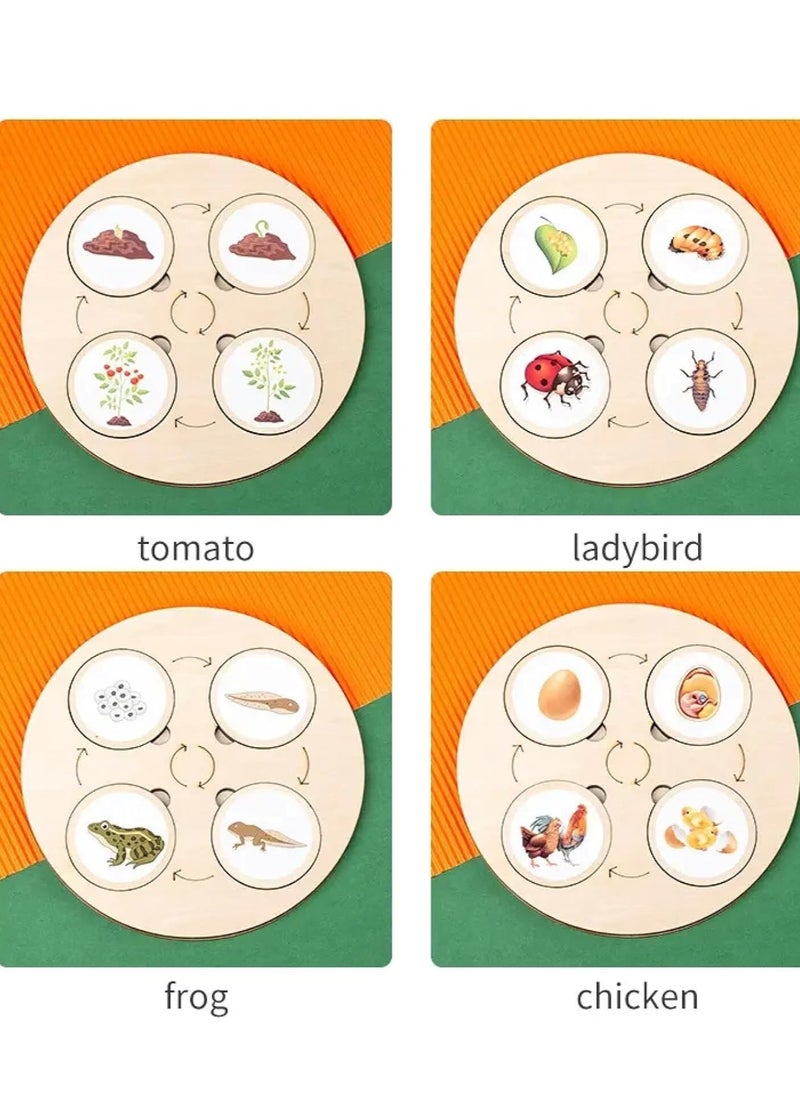 KASTWAVE - Life Cycle Kit, Realistic Figurine Toys, Kids Animal Match Set with Frog, Ladybug, & More - Includes 10-Piece Animals, Montessori DIY Educational Toys, School Teaching（Self-Adhesive Stickers） - Image 1