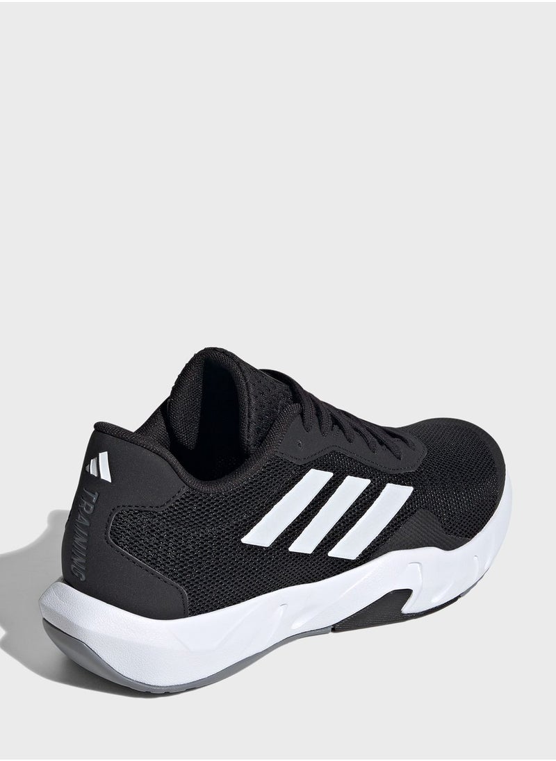 Amplimove Trainer