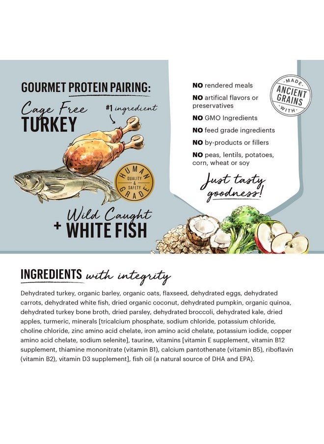the honest kitchen - The Honest Kitchen Dehydrated Gourmet Grains Turkey & White Fish Dog Food, 4 lb Box - Image 1