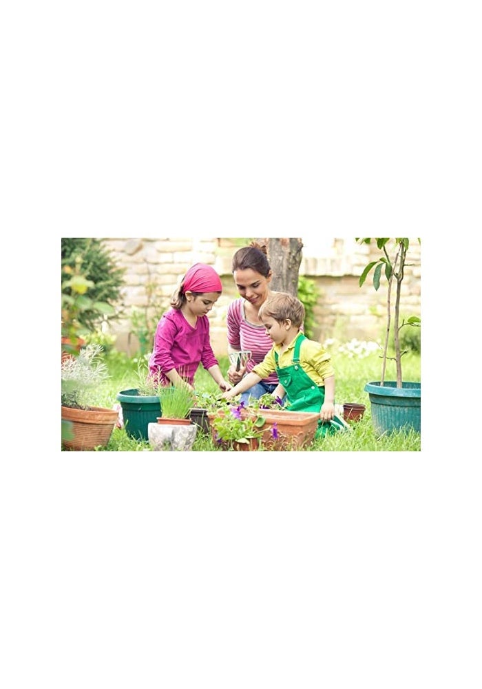 Perla Perl Humus® Granules - Natural Humic Substance Organic Soil Conditioner (8Kg) Made in Germany - Image 4