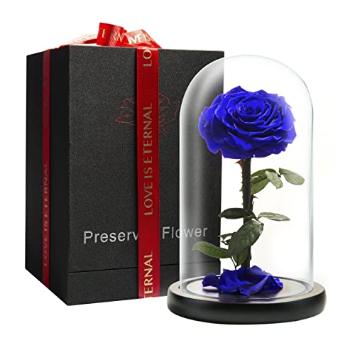 LOVAPPY Forever Preserved Rose - Eternal Rose in Glass Dome - Beauty and The Beast Rose for Mom - Fresh Flowers in Glass (Blue, 9 Inch) - Image 1