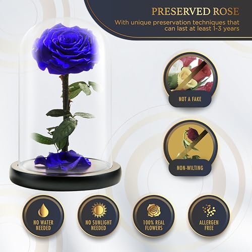 LOVAPPY Forever Preserved Rose - Eternal Rose in Glass Dome - Beauty and The Beast Rose for Mom - Fresh Flowers in Glass (Blue, 9 Inch) - Image 2