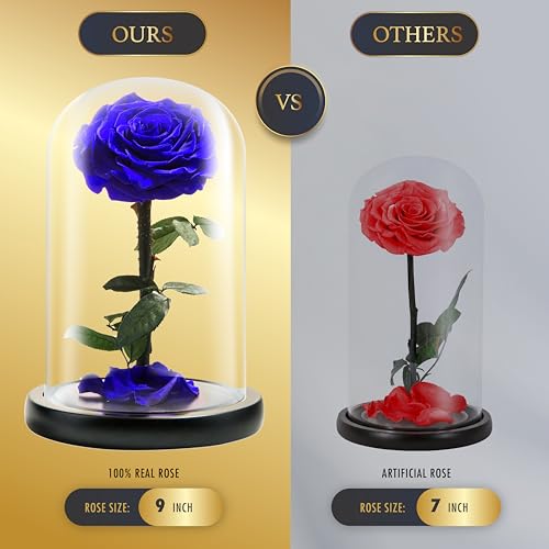 LOVAPPY Forever Preserved Rose - Eternal Rose in Glass Dome - Beauty and The Beast Rose for Mom - Fresh Flowers in Glass (Blue, 9 Inch) - Image 3