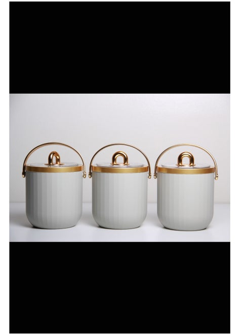 A set of deep plastic ice cream containers, with a lid and a golden handle, in an elegant design, of 4 pieces