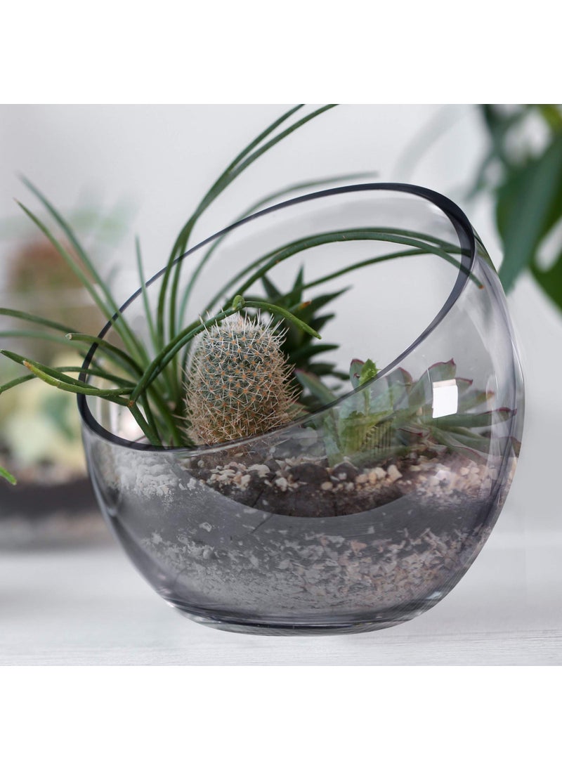 CYS EXCEL CYS EXCEL Glass Slant Cut Bubble Bowl (H-8"" W-9"") | Multiple Size Choices Slanted Globe Bowl Terrarium | Round Flower Vase Centerpiece  - Image 3