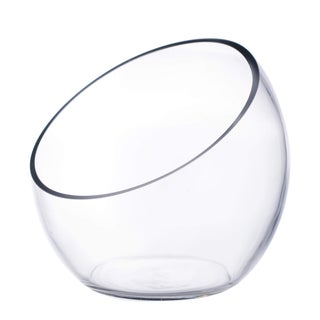 Cys Excel Glass Slant Cut Bubble Bowl (H-8 "" W-9 "") | خيارات متعددة الحجم مائل غلوب وعاء terrarium | محور مزهرية زهرة مستديرة - pzsku/ZA2AA4EF635398004DEF5Z/45/1749718305/40b2c4b2-aec9-405a-9109-e45cc05d09b7