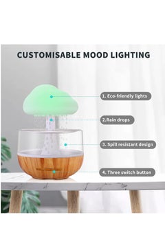 Raining Cloud Night Light Aromatherapy Essential Oil Diffuser Micro Humidifier Desk Fountain Bedside Sleeping Relaxing Mood Water Drop Sound - pzsku/ZA2ABEC3565FCE61300D4Z/45/_/1740158500/84119541-8323-4633-9eb1-ea37adb58470