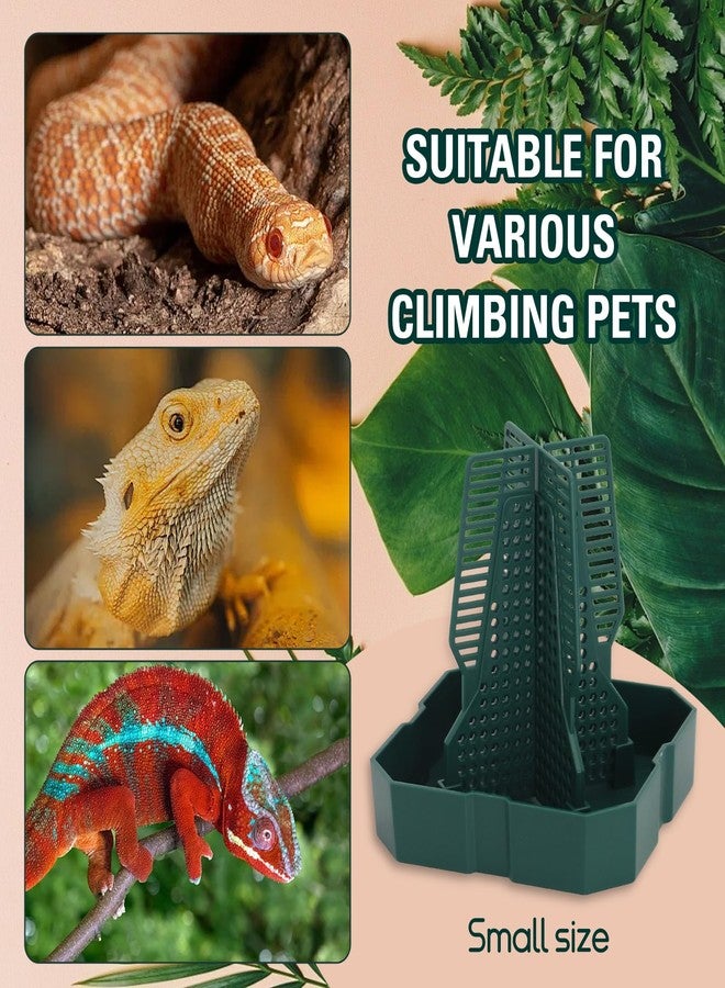 APlayfulBee Chameleon Feeding Bearded Dragon Bug Bowl Reptile Feeder Box with Column for Insects to Climb for Feeding Chameleon Gecko Lizard Frog (S) - Image 5