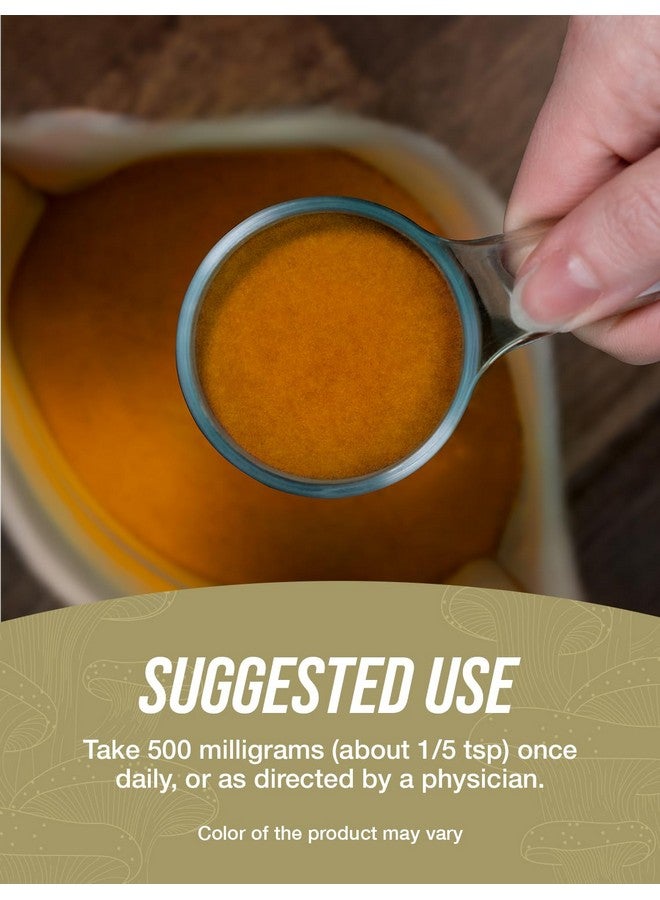 BulkSupplements مسحوق مستخلص فطر الفطر الأسود من BulkSupplements.com - مسحوق فطر الأذن الخشبية - نباتي وخالي من الغلوتين، 500 ملغ لكل حصة، 500 غرام (1.1 رطل) (عبوة واحدة) - Image 4