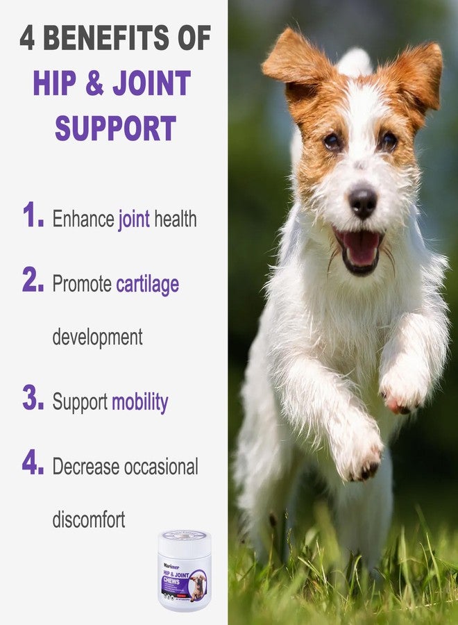 MARIMER Hip & Joint Chews for Dogs - Glucosamine, MSM, Chondroitin, Turmeric & Omega-3 - Mobility Chews for Dogs with Green Lipped Mussel & Eggshell Membrane - Chicken Flavor - 100 Soft Chews - Image 2