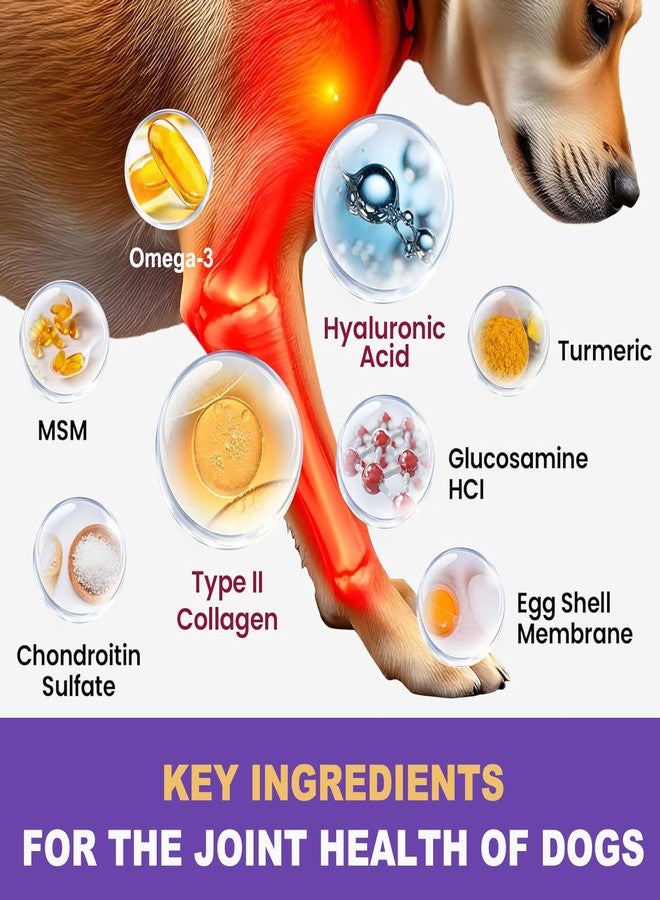 MARIMER Hip & Joint Chews for Dogs - Glucosamine, MSM, Chondroitin, Turmeric & Omega-3 - Mobility Chews for Dogs with Green Lipped Mussel & Eggshell Membrane - Chicken Flavor - 100 Soft Chews - Image 3