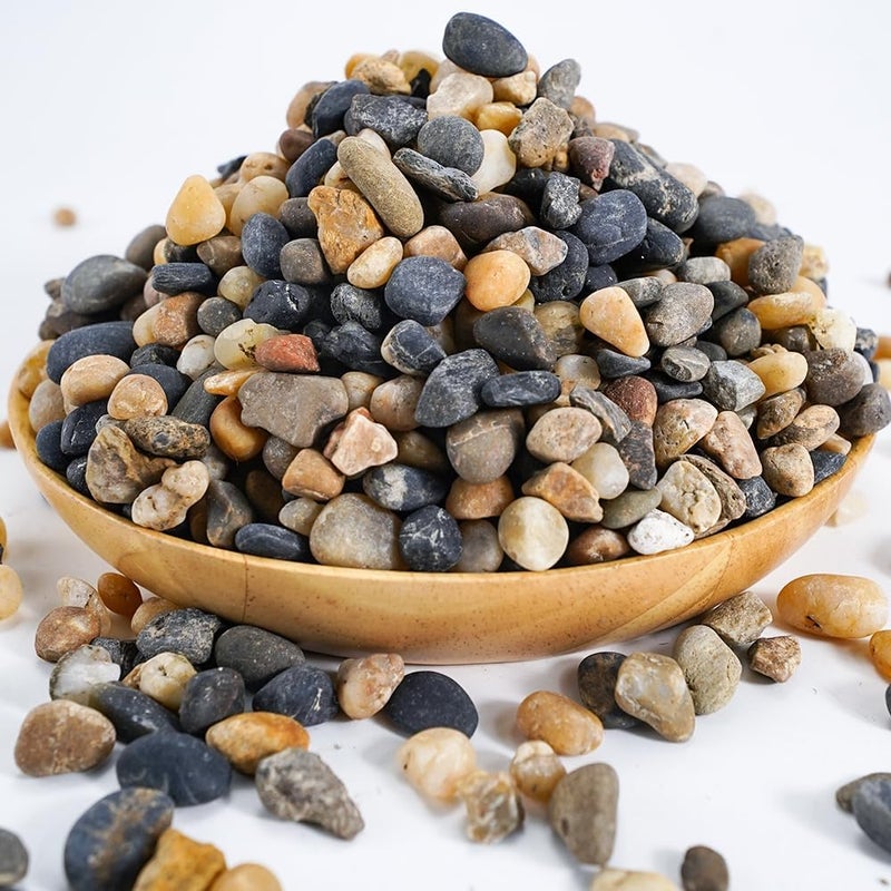 6lbs Natural River Rocks, Succulent Cactus Gravel for Plants, Bonsai Decor Pebbles, Planters Stones, Potting Grit for Gardening, Flower Pots, Vase Fillers, Indoor Water Fountains, Landscaping