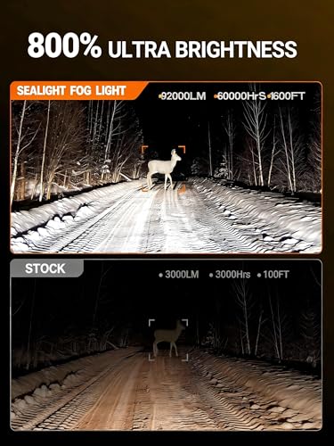 SEALIGHT Fog Lights - Image 3