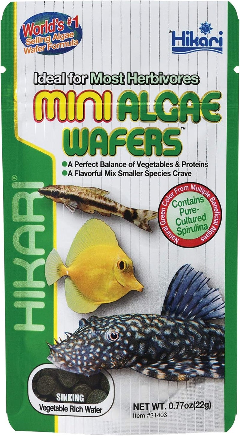 Hikari Tropical Mini Algae Wafers Fish Food - 22G for Herbivorous Fish - Image 1
