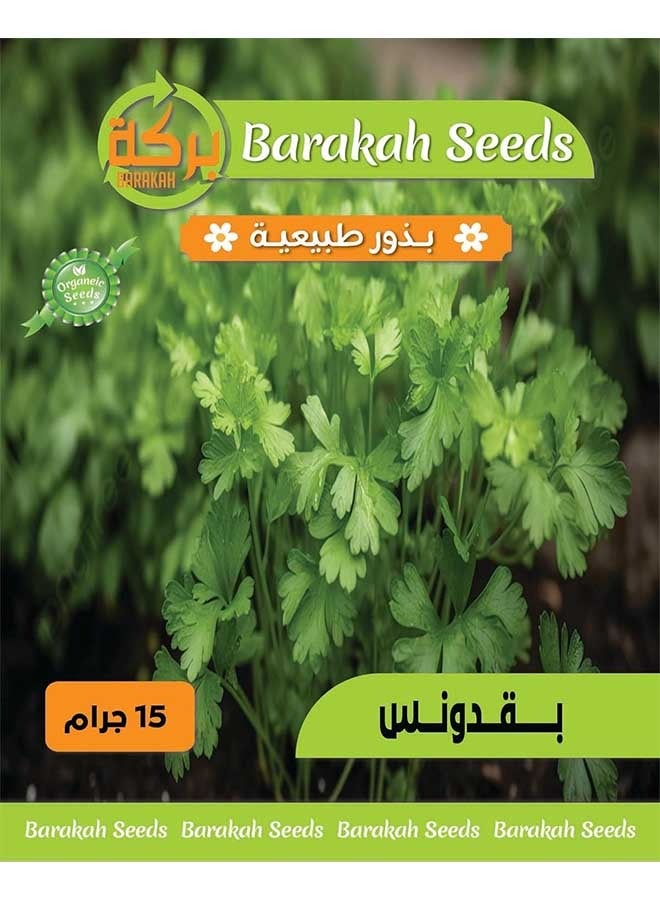 ماركة غير محددة بذور طبيعية عالية الإنبات - (بذور بقدونس) 