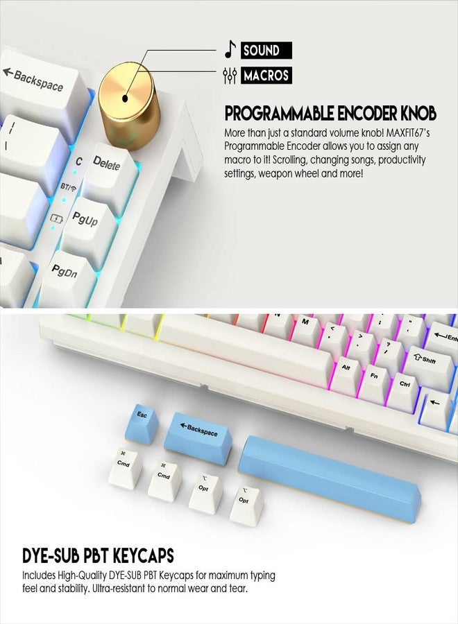 FANTECH MAXFIT67 3-Mode Custom Mechanical Gaming Keyboard RGB Backlit, 65% (67-Key) Hot Swappable Type-C Wired South Facing Mechanical Keyboard, Yellow Switch, White - Image 3