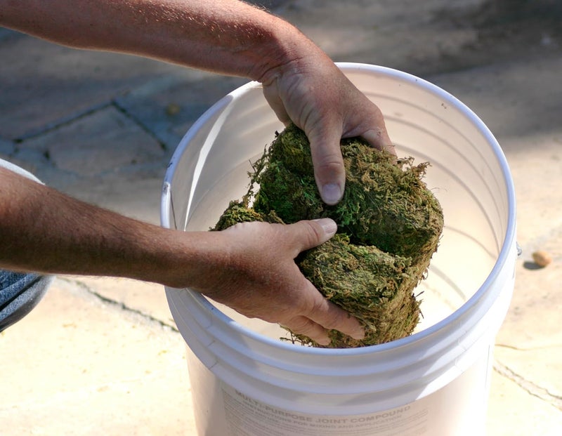 Super Moss Mountain Green Sphagnum Mini Bale - Natural Dried Soil Conditioner - Image 5