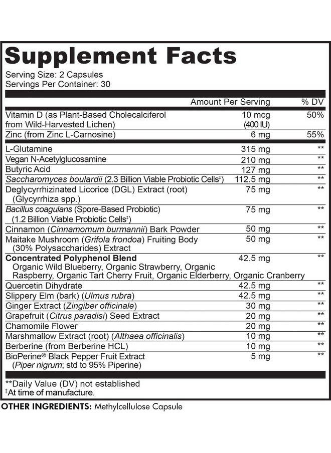 Codeage - Leaky Gut Lglutamine For Gut Health Support Nacetylglucosamine Supplement Probiotic Butyric Acid Polyphenols Quercetin Dgl Berberine Bioperine Cinnamon Vegan Nongmo 60 Capsules - Image 1