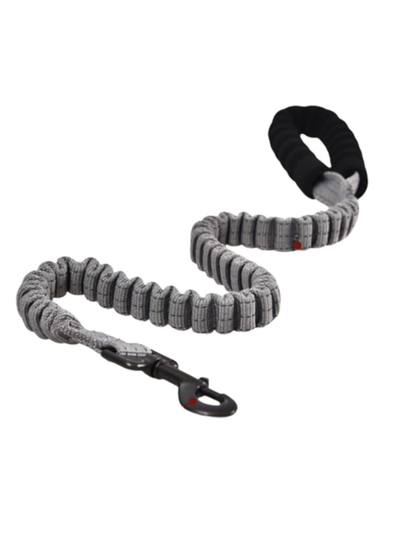Naomi Naomi Dog Leash Extension  - Image 1