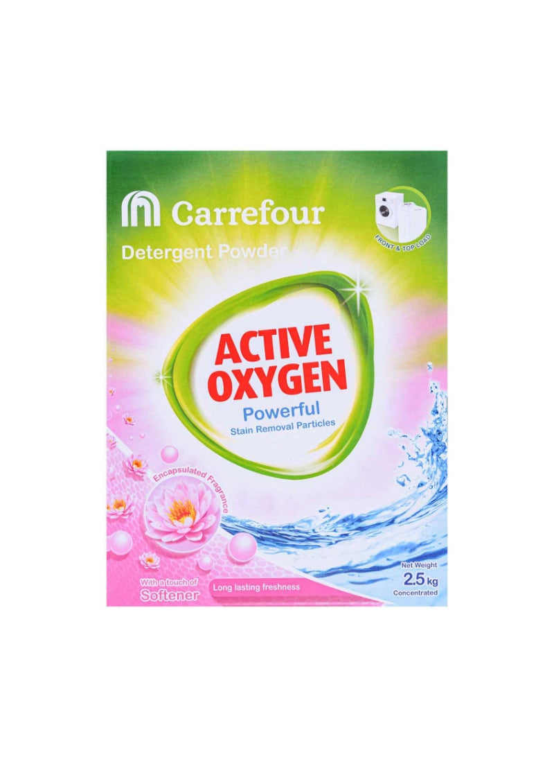 Soft Touch Laundry Detergent Powder 2.5kg
