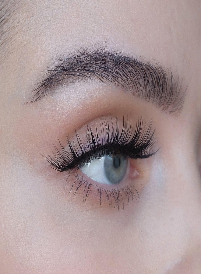 SWEED - North 3D Pro Lashes False Eyelash Set | Reusable, Easy-To-Apply, 2-Piece Set | Volumizing, Comfortable Wear | Vegan, Cruelty-Free, Clean Beauty - Image 3