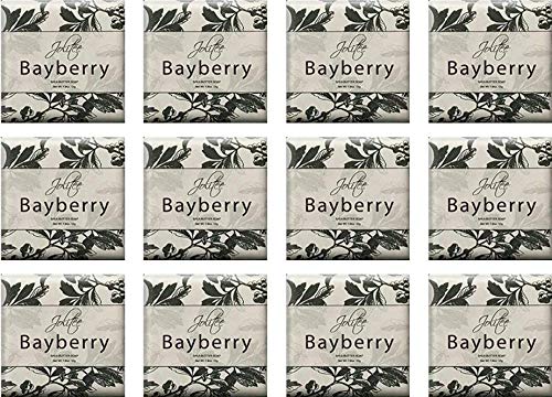 French Milled Botanical Soap Set of 12 in Fabulous Scents Individually Wrapped Vegetable Based Mini Soaps with Essential Oils Shea Butter and Natural Extracts Collection Bayberry