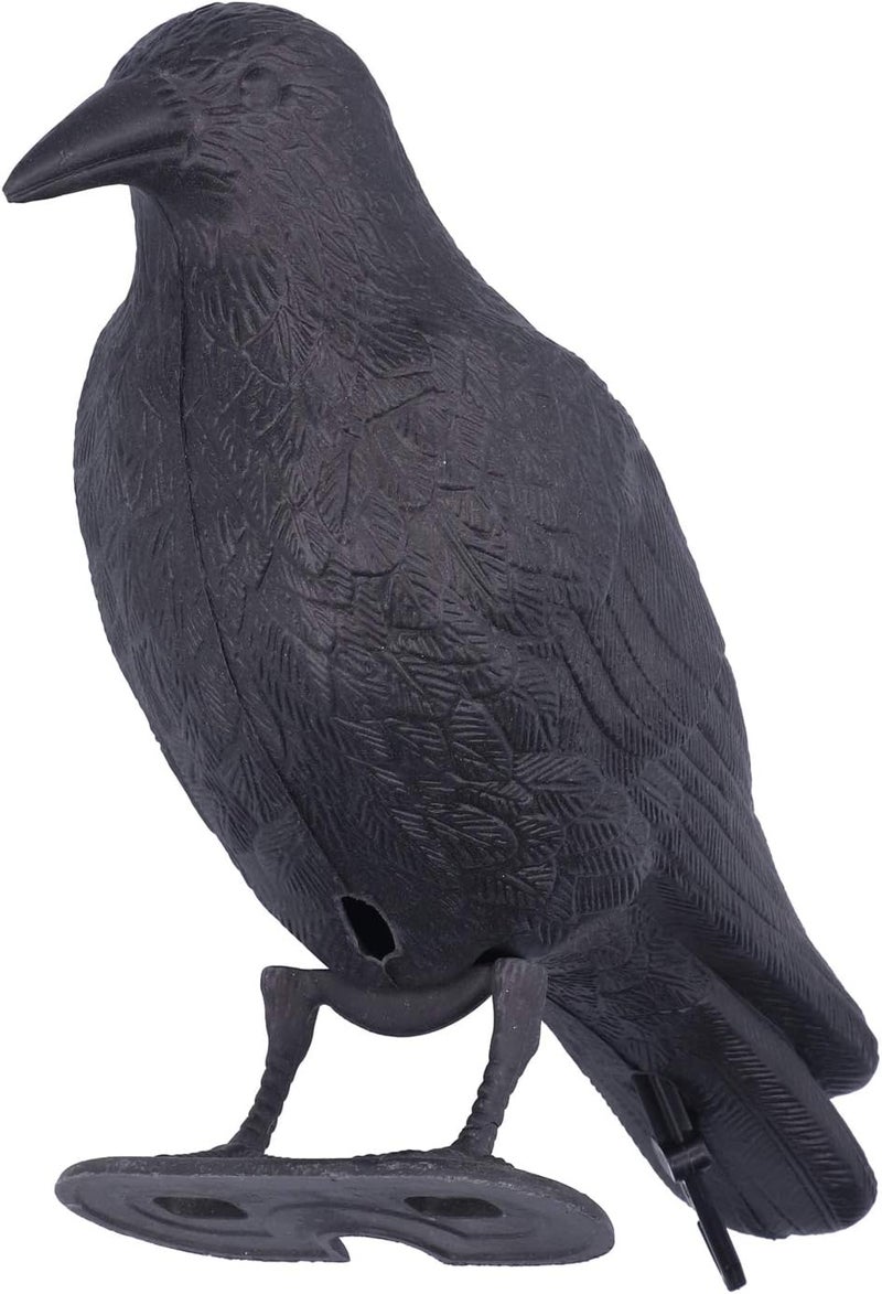 woobles Plastic Crow Decor, Hunting Decoy, Garden Decoration, Smooth Lines Simulation Crow, for Vegetable Garden Garden- - Image 1