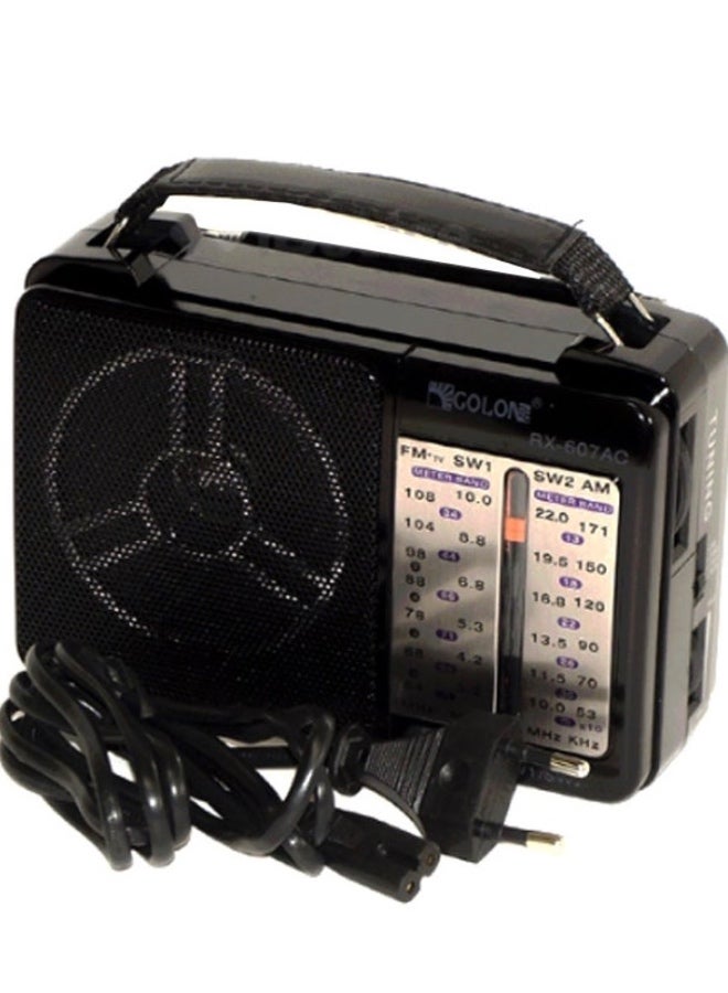 Golon Portable Classic Radio RX-607AC - Image 1