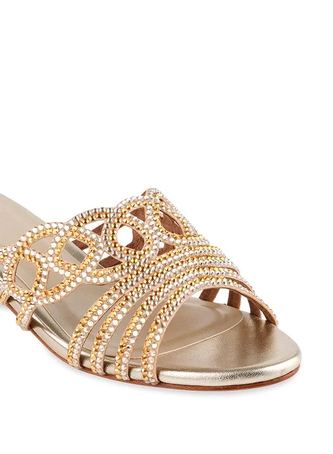 Nicoli  HAILYA for Women | Best Price UAE