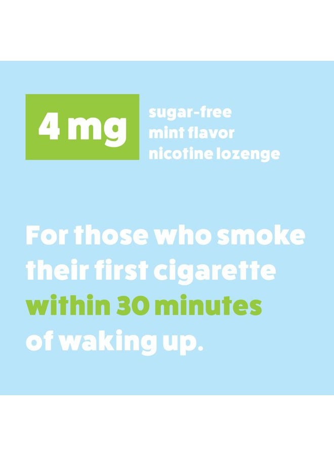 wellness basics Mini Nicotine Lozenge (4mg - 135 Count) Stop Smoking Aid - Reduces Withdrawal Symptoms - Mint Flavor - Image 5