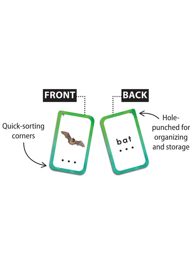 Teacher Created Resources Decoding CVC Words Flash Cards (EP62057), Medium - Image 2