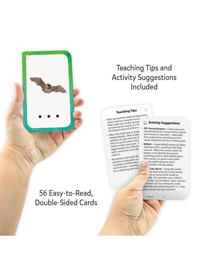 Teacher Created Resources Decoding CVC Words Flash Cards (EP62057), Medium - Image 3