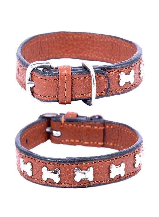ADIL'S Adil’S Leather Cat Collar - Stylish Six Bone Studded Design, Breakaway Soft pet Collar, Adjustable Metal Buckle with Strong D-Ring for Leash attachments,Comfortable & Secure (Cognac) - Image 1