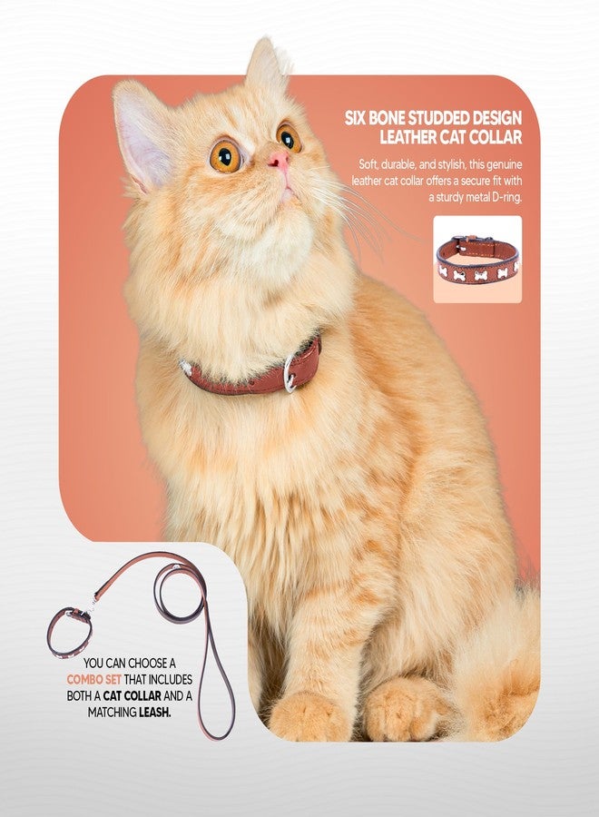 ADIL'S Adil’S Leather Cat Collar - Stylish Six Bone Studded Design, Breakaway Soft pet Collar, Adjustable Metal Buckle with Strong D-Ring for Leash attachments,Comfortable & Secure (Cognac) - Image 5