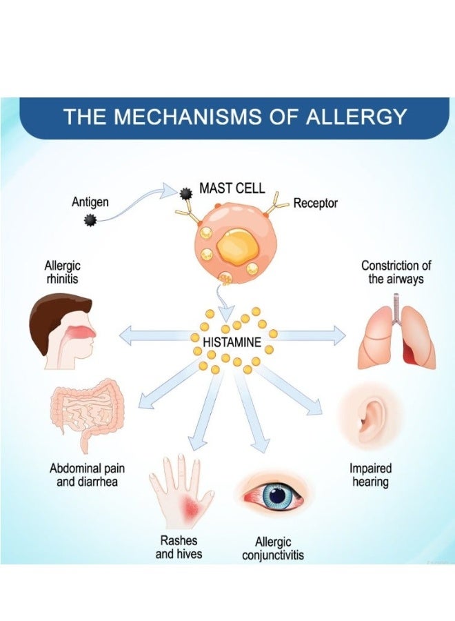 سوميفون كريم العناية بالحساسية للبشرة، للحساسية، الحكة، احمرار البشرة والتورم، 20 غرام - Image 3